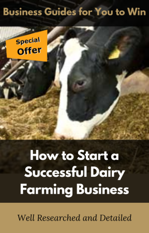 Dairy farming business